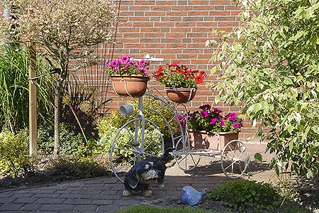 Foto aus der Fotogruppe 