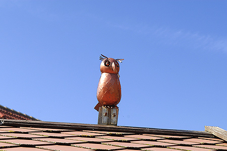 Foto aus der Fotogruppe 